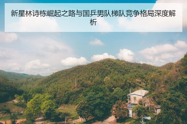 新星林诗栋崛起之路与国乒男队梯队竞争格局深度解析